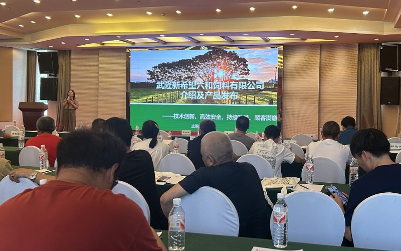 微信图片_20250624103144.jpg 微信图片_20250624103144.jpg